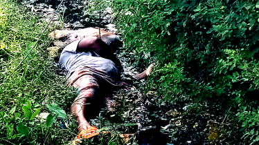 ফতুল্লায় গরুর ঘাস কাটতে গিয়ে বিদ্যুৎস্পৃষ্টে খামারির মৃত্যু