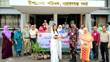 নারায়ণগঞ্জ সদরে বিনামূল্যে চারাগাছ বিতরণ 