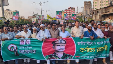 জাতীয় বিপ্লব ও সংহতি দিবস উপলক্ষে জেলা বিএনপির বর্ণাঢ্য র‌্যালি
