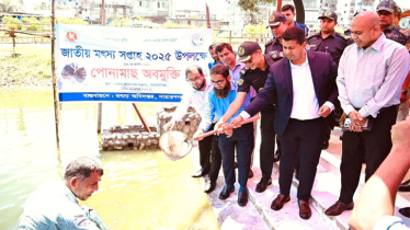 নারায়ণগঞ্জে নানা আয়োজনে জাতীয় মৎস্য সপ্তাহ উদযাপিত