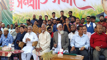 সোনারগাঁয়ে বিএনপির সম্প্রীতি সমাবেশ 