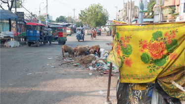 ২০নং ওয়ার্ডের ১০০ ফিট রাস্তায় ময়লা-আবর্জনার স্তুপ 