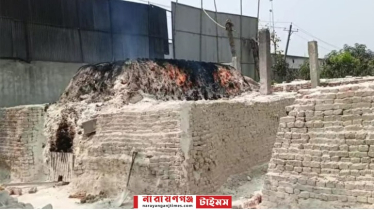 মেঘনা শিল্পনগরীতে ফের গড়ে উঠেছে অবৈধ চুন কারখানা, ক্ষোভ