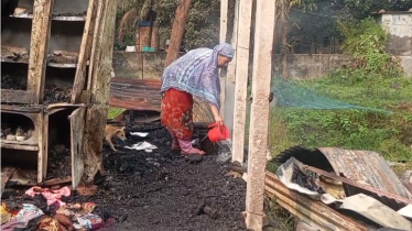 রূপগঞ্জে  বিধবার বাড়ি-ঘর পুড়ে ছাই,ছেলে দগ্ধ