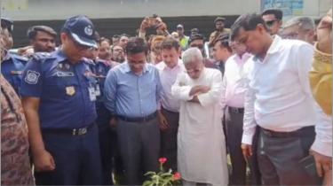কাঁচপুর সেতু এলাকায় বৃক্ষরোপণ কর্মসূচির উদ্বোধন