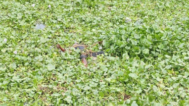 শীতলক্ষ্যা নদী থেকে অজ্ঞাত যুবকের মরদেহ উদ্ধার