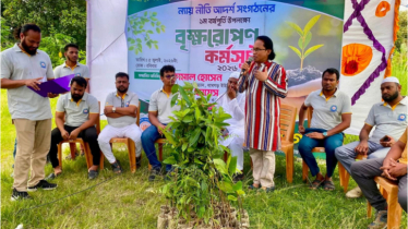 জাঙ্গাল আইলপাড়ায় এক হাজার বৃক্ষরোপণ কর্মসূচির উদ্বোধন