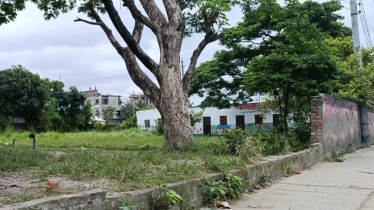 সিদ্ধিরগঞ্জে অরক্ষিত সানরাইজ মডেল স্কুল: উদ্বিগ্ন শিক্ষক-অভিভাবক সিদ্ধিরগঞ্জে অরক্ষিত সানরাইজ মডেল স্কুল: উদ্বিগ্ন শিক্ষক-অভিভাবক