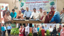 গাছের চারা ও ডিজিটাল বোর্ড বিতরণ সদর উপজেলা প্রশাসনের গাছের চারা ও ডিজিটাল বোর্ড বিতরণ সদর উপজেলা প্রশাসনের