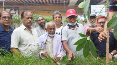 নারায়ণগঞ্জ নাগরিক কমিটির বৃক্ষরোপণ কর্মসূচির উদ্বোধন