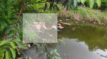 সিদ্ধিরগঞ্জে পুকুর থেকে অজ্ঞাত ব্যক্তির মরদেহ উদ্ধার সিদ্ধিরগঞ্জে পুকুর থেকে অজ্ঞাত ব্যক্তির মরদেহ উদ্ধার