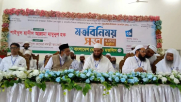 রয়েল রিসোর্টে ‘হত্যার নীলনকশা’ করেছিল আওয়ামী লীগ: মামুনুল হক