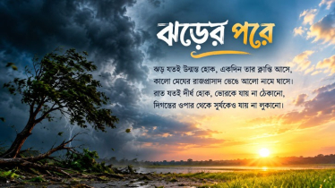 ঝড়ের পরে