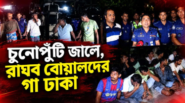 চুনোপুঁটি জালে, রাঘব বোয়ালদের গা ঢাকা