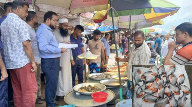 ফতুল্লায় ২৫ কেজি নিষিদ্ধ পিরানহা  জব্দ, বিক্রেতাকে জরিমানা