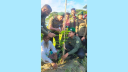 বন্দরে আনসার ও গ্রাম প্রতিরক্ষা বাহিনীর বৃক্ষ রোপন
