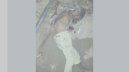চাষাঢ়ায় ট্রেনের ধাক্কায় তরুণের মৃত্যু চাষাঢ়ায় ট্রেনের ধাক্কায় তরুণের মৃত্যু