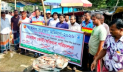 মা ইলিশ সংরক্ষণে অভিযান: জব্দ ইলিশ ও পিরানহা মাছ মা ইলিশ সংরক্ষণে অভিযান: জব্দ ইলিশ ও পিরানহা মাছ