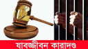 সিদ্ধিরগঞ্জে ব্যবসায়ী হত্যা মামলায় দুই সহোদরের যাবজ্জীবন