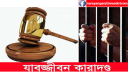 রূপগঞ্জে স্ত্রীকে হত্যার দায়ে স্বামীর যাবজ্জীবন