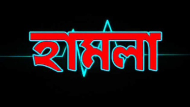 বন্দরে প্রবাসীর বাড়িতে হামলা, নারীসহ আহত ৩